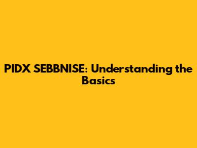 PIDX SEBBNISE: Understanding the Basics