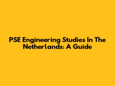 PSE Engineering Studies In The Netherlands: A Guide