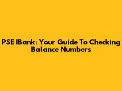 PSE IBank: Your Guide To Checking Balance Numbers