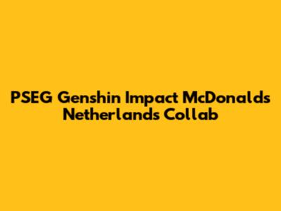 PSEG Genshin Impact McDonald's Netherlands Collab