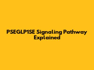 PSEGLP1SE Signaling Pathway Explained