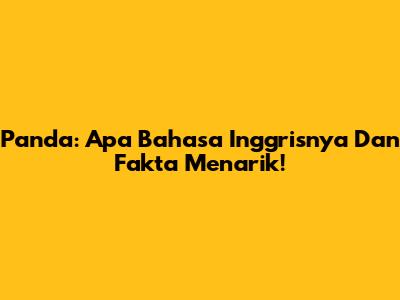 Panda: Apa Bahasa Inggrisnya Dan Fakta Menarik!