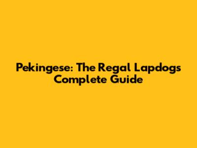 Pekingese: The Regal Lapdog's Complete Guide