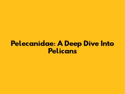 Pelecanidae: A Deep Dive Into Pelicans