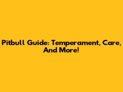 Pitbull Guide: Temperament, Care, And More!