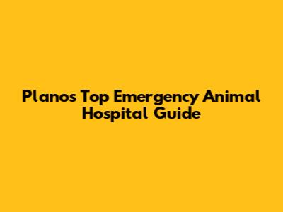Plano's Top Emergency Animal Hospital Guide