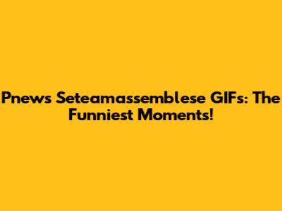 Pnews Seteamassemblese GIFs: The Funniest Moments!