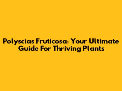 Polyscias Fruticosa: Your Ultimate Guide For Thriving Plants
