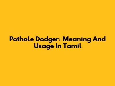 Pothole Dodger: Meaning And Usage In Tamil