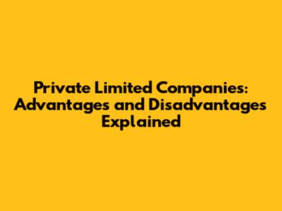 Private Limited Companies: Advantages and Disadvantages Explained