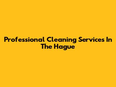 Professional Cleaning Services In The Hague
