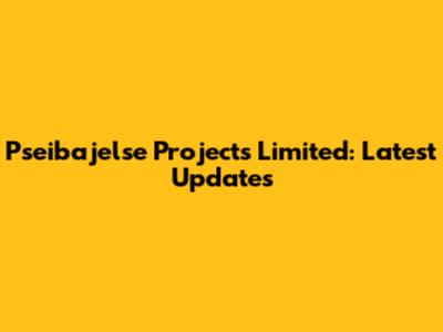 Pseibajelse Projects Limited: Latest Updates