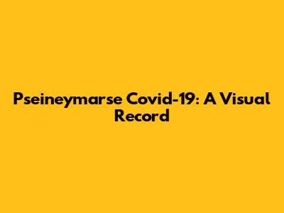 Pseineymarse Covid-19: A Visual Record
