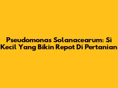 Pseudomonas Solanacearum: Si Kecil Yang Bikin Repot Di Pertanian