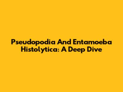 Pseudopodia And Entamoeba Histolytica: A Deep Dive