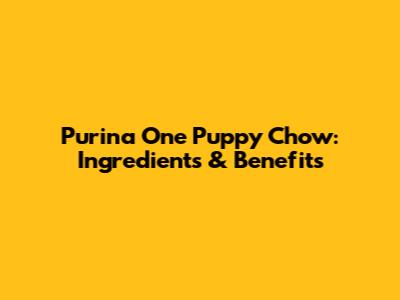 Purina One Puppy Chow: Ingredients & Benefits