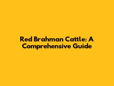 Red Brahman Cattle: A Comprehensive Guide