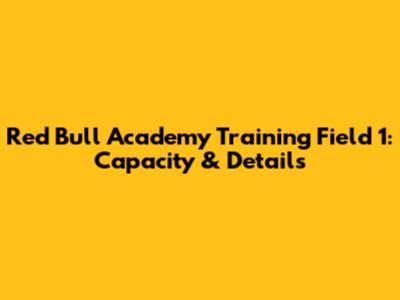 Red Bull Academy Training Field 1: Capacity & Details