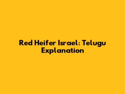 Red Heifer Israel: Telugu Explanation