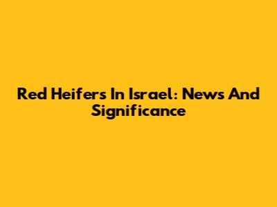Red Heifers In Israel: News And Significance
