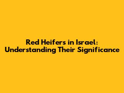 Red Heifers in Israel: Understanding Their Significance