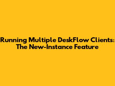 Running Multiple DeskFlow Clients: The New-Instance Feature