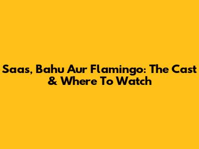 Saas, Bahu Aur Flamingo: The Cast & Where To Watch