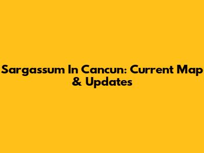Sargassum In Cancun: Current Map & Updates