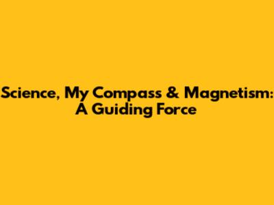 Science, My Compass & Magnetism: A Guiding Force