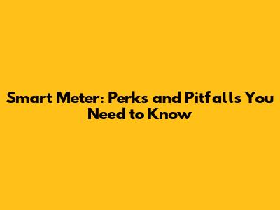 Smart Meter: Perks and Pitfalls You Need to Know