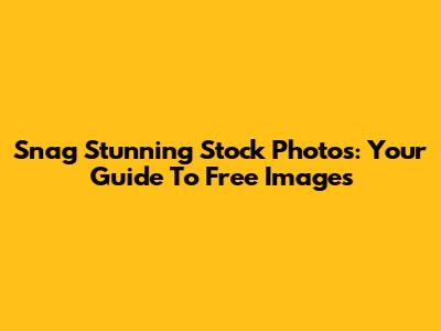 Snag Stunning Stock Photos: Your Guide To Free Images