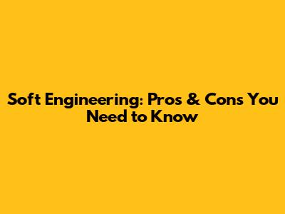 Soft Engineering: Pros & Cons You Need to Know