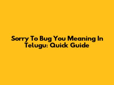 Sorry To Bug You Meaning In Telugu: Quick Guide