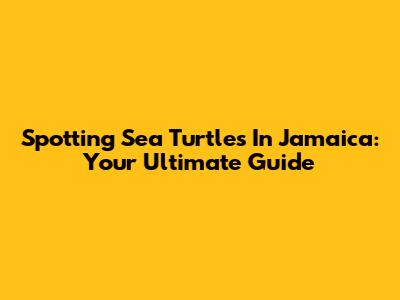 Spotting Sea Turtles In Jamaica: Your Ultimate Guide