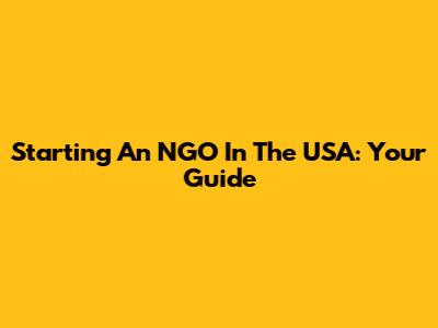 Starting An NGO In The USA: Your Guide