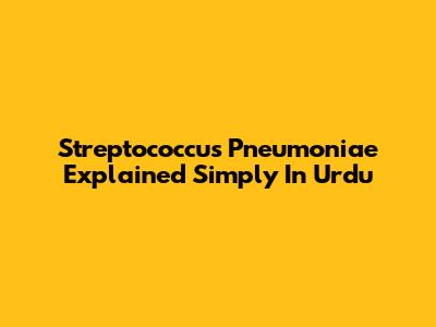 Streptococcus Pneumoniae Explained Simply In Urdu
