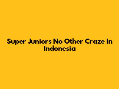 Super Junior's 'No Other' Craze In Indonesia