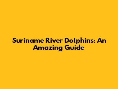 Suriname River Dolphins: An Amazing Guide