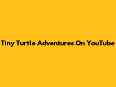 Tiny Turtle Adventures On YouTube
