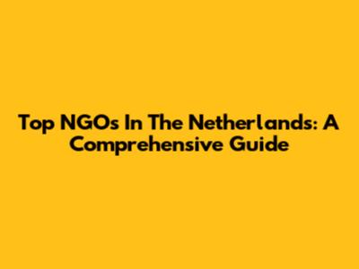 Top NGOs In The Netherlands: A Comprehensive Guide