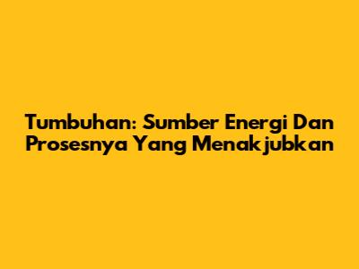 Tumbuhan: Sumber Energi Dan Prosesnya Yang Menakjubkan