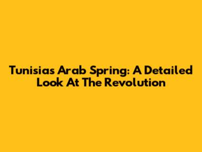 Tunisia's Arab Spring: A Detailed Look At The Revolution