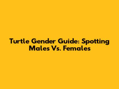 Turtle Gender Guide: Spotting Males Vs. Females
