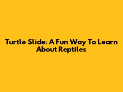 Turtle Slide: A Fun Way To Learn About Reptiles