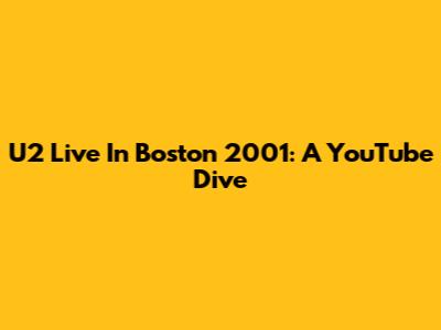 U2 Live In Boston 2001: A YouTube Dive