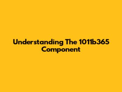 Understanding The 1011b365 Component