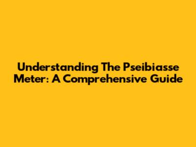 Understanding The Pseibiasse Meter: A Comprehensive Guide