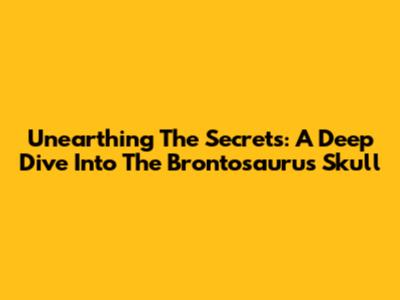 Unearthing The Secrets: A Deep Dive Into The Brontosaurus Skull