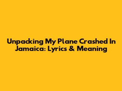Unpacking 'My Plane Crashed In Jamaica': Lyrics & Meaning