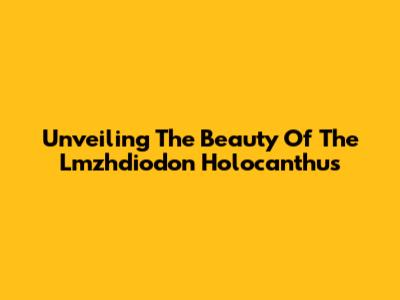 Unveiling The Beauty Of The Lmzhdiodon Holocanthus